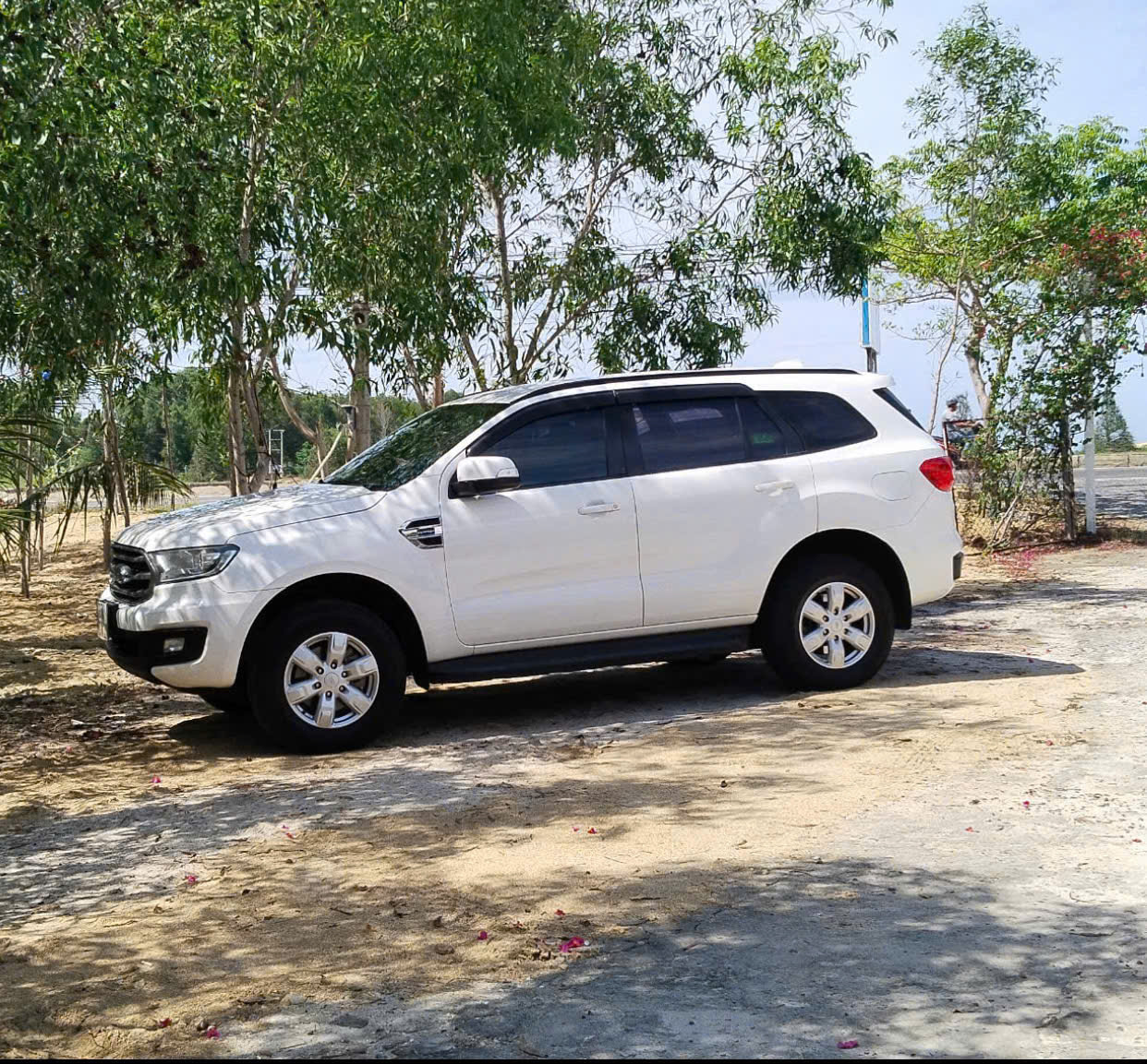 Thuê xe taxi Phan Rang, xe du lịch đi liên tỉnh – lựa chọn thông minh cho mọi hành trình